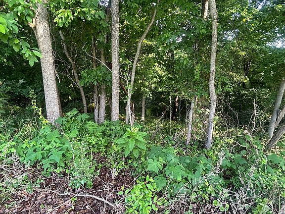 4th image of Bushwack Rd
