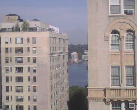 Living Room View