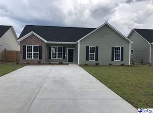 3002 Red Berry Cir, Effingham, SC 29541