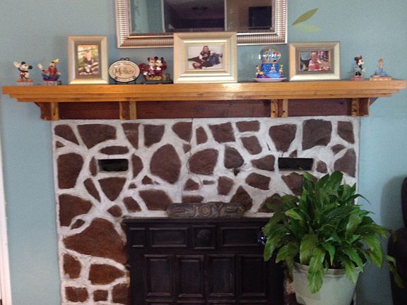 Wood-burning fireplace