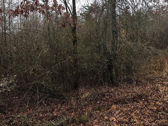 5th image of 0 Ten Mile Ln Lot 5