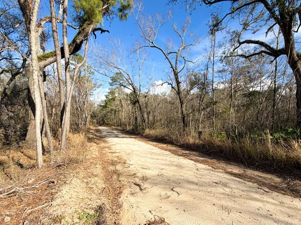 0 NW Kings Rd, Mayo, FL 32066