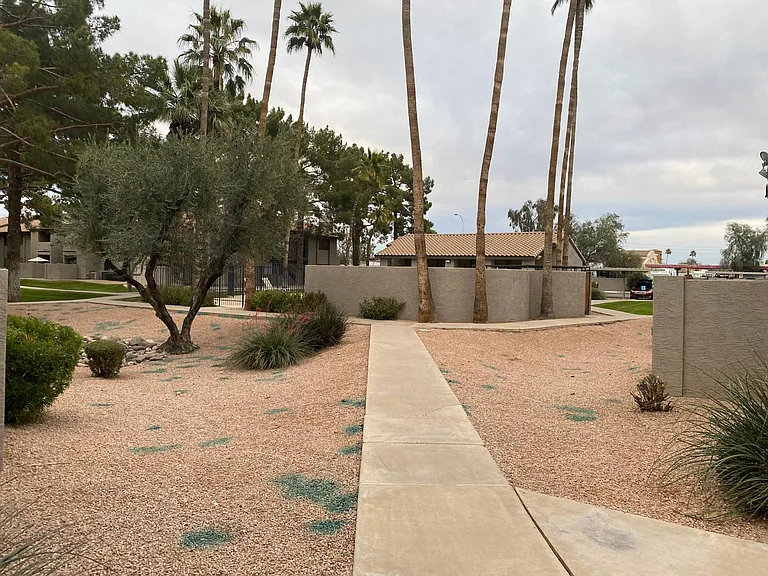 2114-533 W Guadalupe Rd #2114 — Photo 46