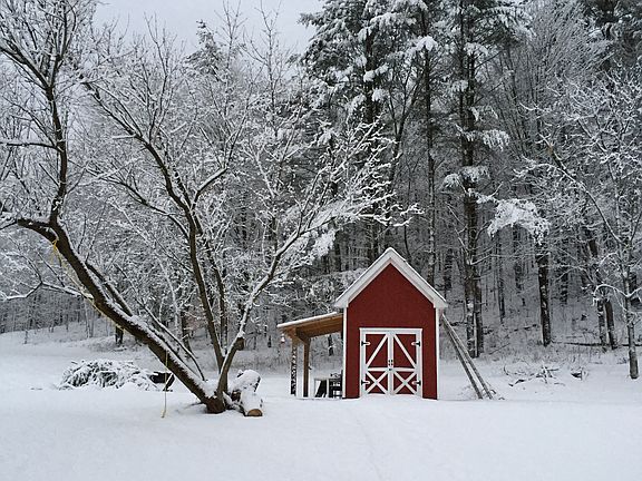 Storage shed with porch and bonfire pit