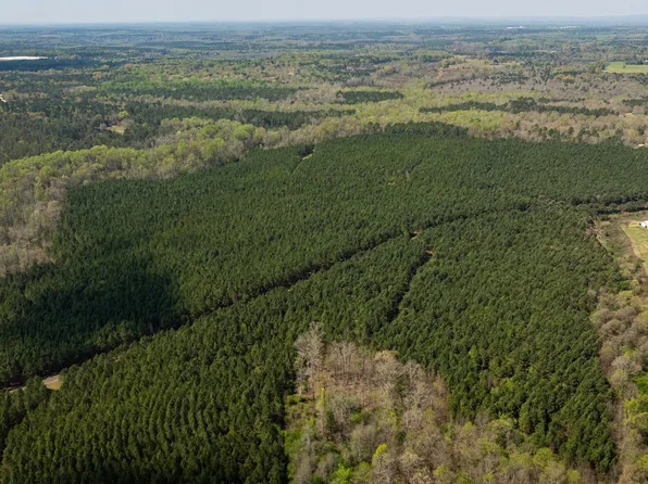 435 Morgan Rd, Yatesville, GA 31097