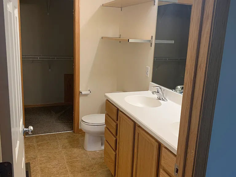 Master bathroom with double vanity, shower, and walk in closet