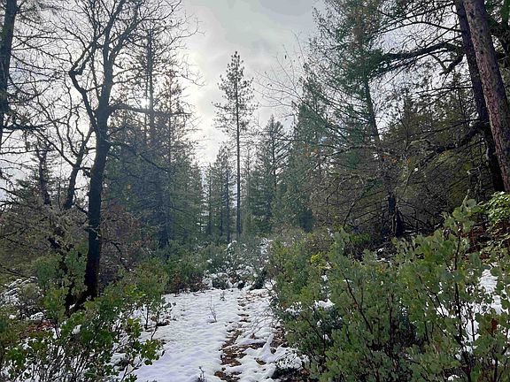 2nd image of 167 S Ponderosa Pne