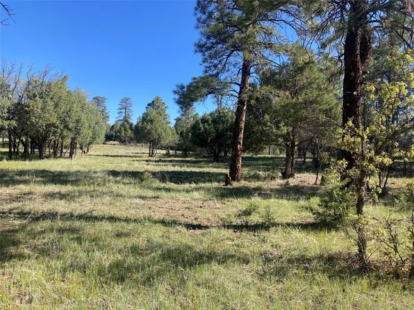 Rim Dr Lot 83, Los Ojos, NM 87551
