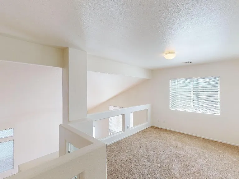 10005 Mystic Dance St — Photo 28