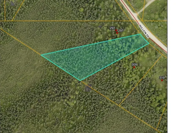 Nhn Bullion Dr, Fairbanks, AK 99709