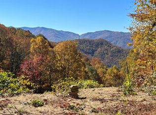 272 Shotgun Path, Bryson City, NC 28713