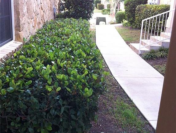 3rd image of 16100 Great Oaks Dr #3602