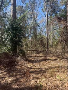 King Arthur Ct, Scroggins, TX, 75480