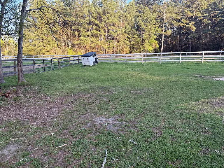 2850 County Road 233D — Photo 38
