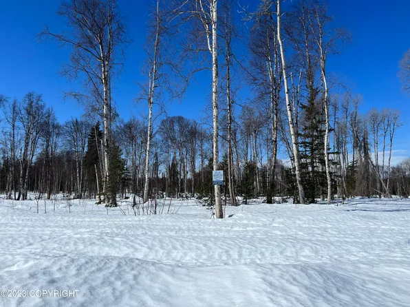 31456 Salmon Alley St, Talkeetna, AK 99676