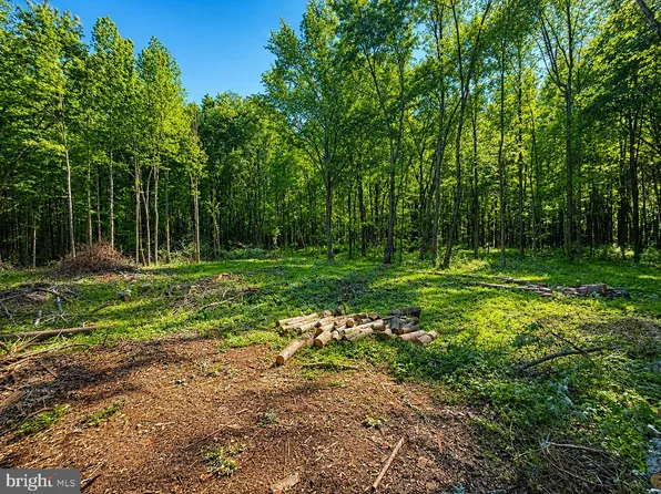 Sandy Bottom Rd, Chestertown, MD 21620