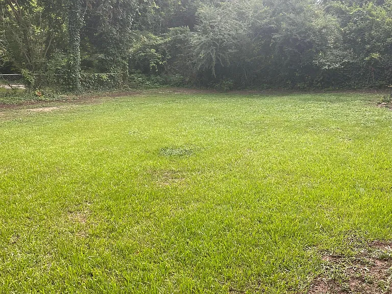 Partially fenced backyard