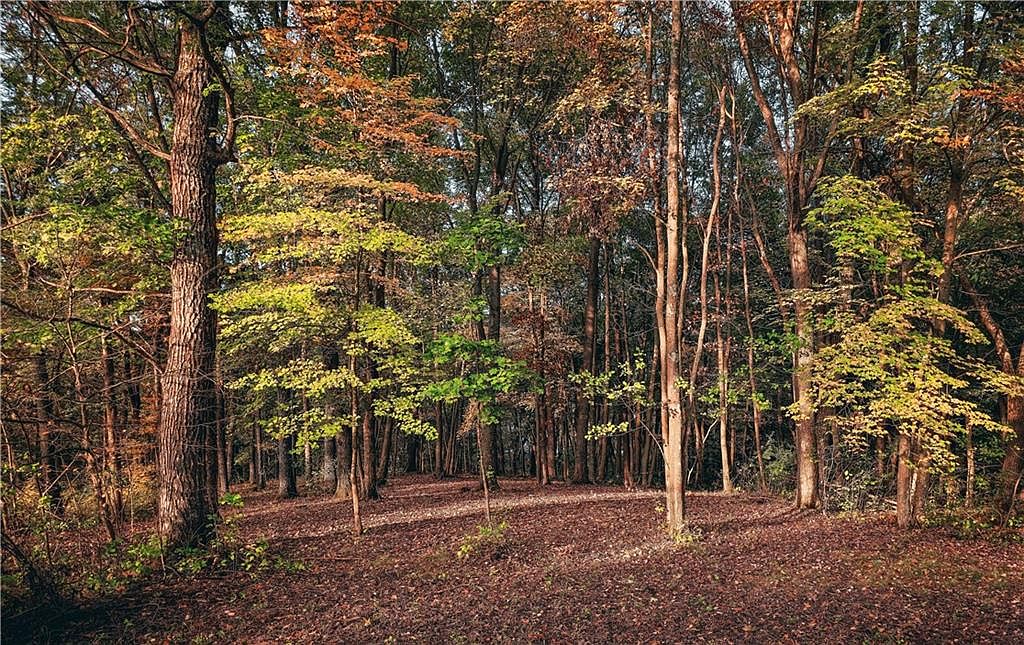 Lot 14 Forest Hills Drive, Black River Falls, WI 54615 Zillow