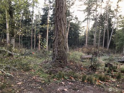 3029 Raccoon Way, Oak Harbor, WA, 98277