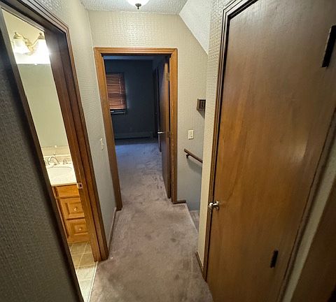 4th image of 904 Shannon Ln