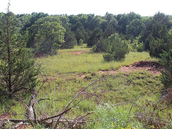 5th image of S Bedrock Cir Lot 66