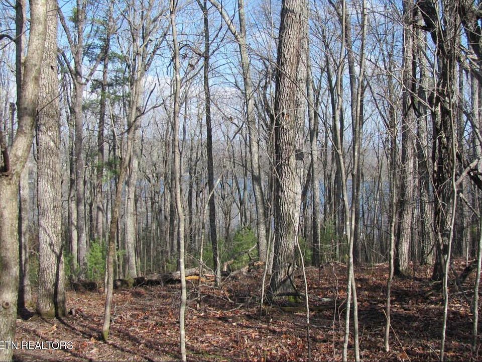 1st image of Markham Ln
