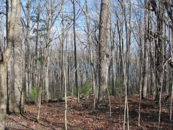 Markham Ln, Fairfield Glade, TN 38558