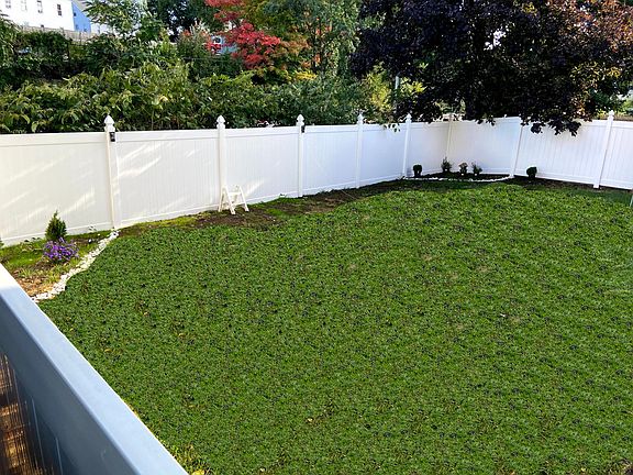 Back yard