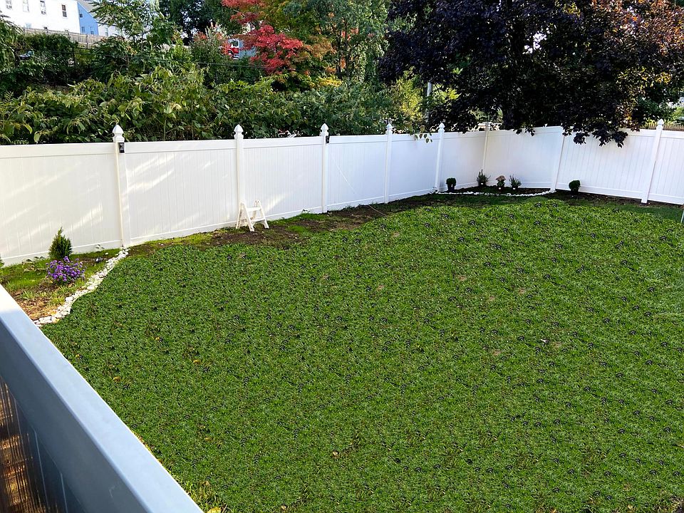 Back yard