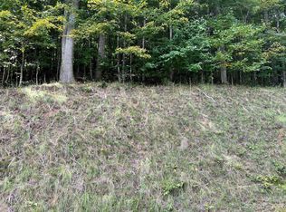 LOT 80 Carefree Cove Rd, Zionville, NC 28698