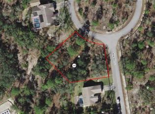 19 Nemesia Ct E, Homosassa, FL 34446