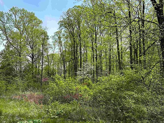 4th image of LOT 6 Mobley Dr