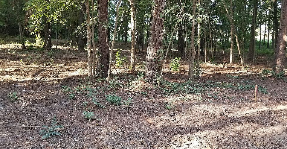 1st image of 730 Private Road 3398