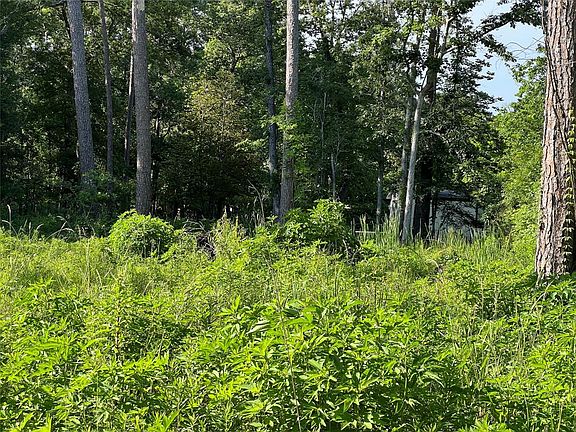4th image of 306 County Road 428