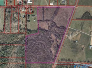 6064 Warrenton Rd, Guntersville, AL 35976