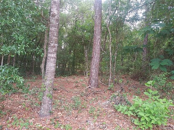 5th image of 1132 E Woodpecker Ln
