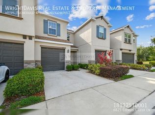6825 Citrus Creek Ln, Tampa, FL 33625