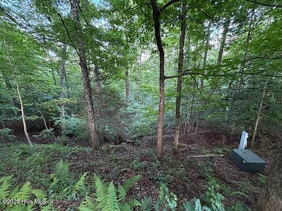 2nd image of Lot 59 Quiet Mountain Trail