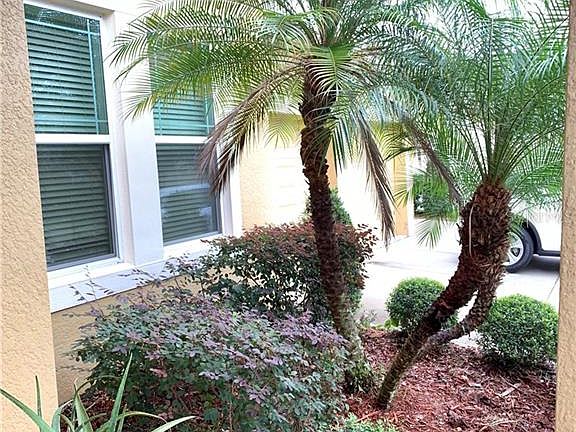 5th image of 8092 Northlake Pkwy #1