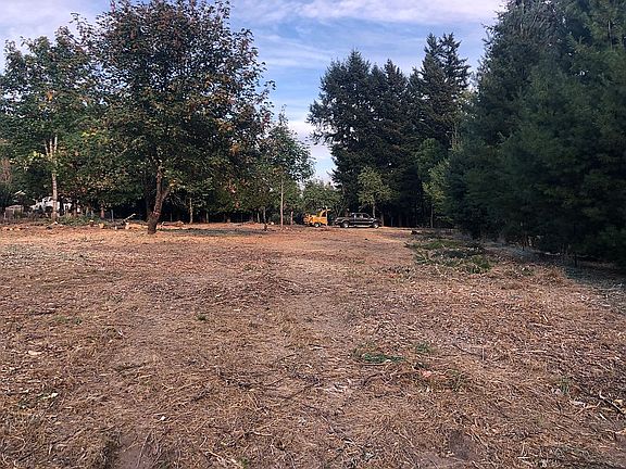 Cleared and stumps removed