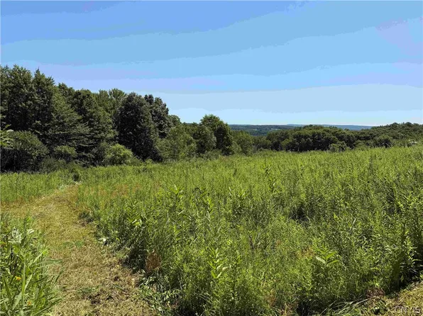 Dye Rd, South Dayton, NY 14138