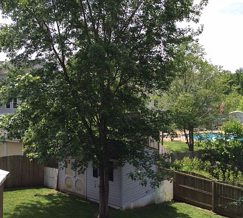 4th image of 48 Saint Williams Way
