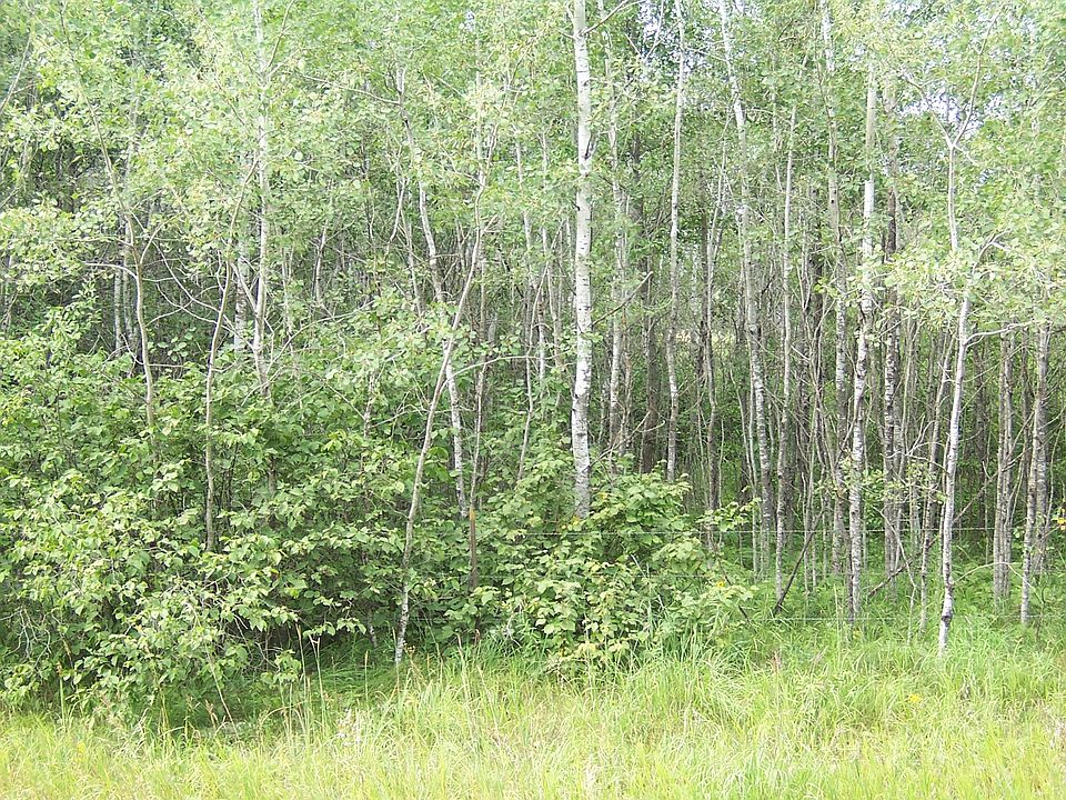2nd image of Tbd Snake Trl SW