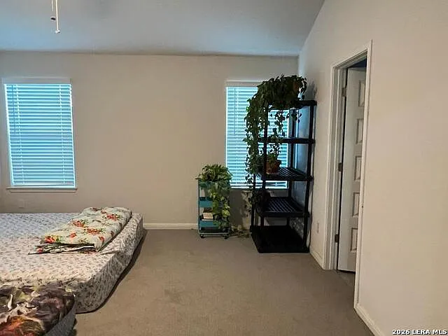 12907 Irvin Path — Photo 12