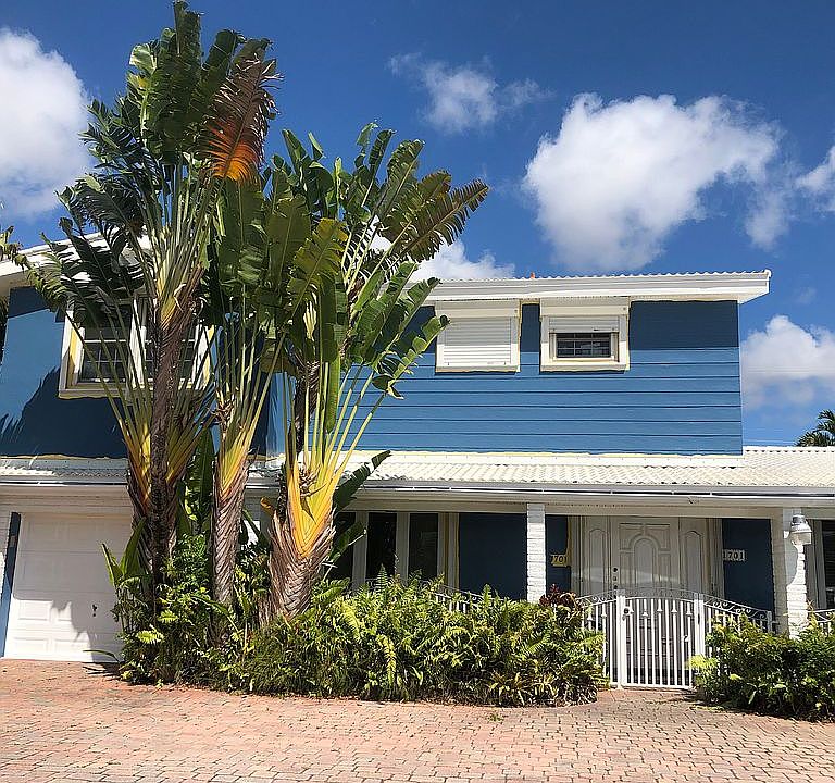 Traveler Palm , Miami brick 