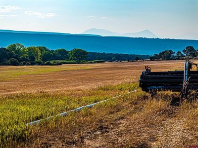 TBD Cactus Park Road, Cedaredge, CO, 81413