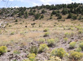 TRACT 36 Wapiti Ridge Rd, Del Norte, CO 81132
