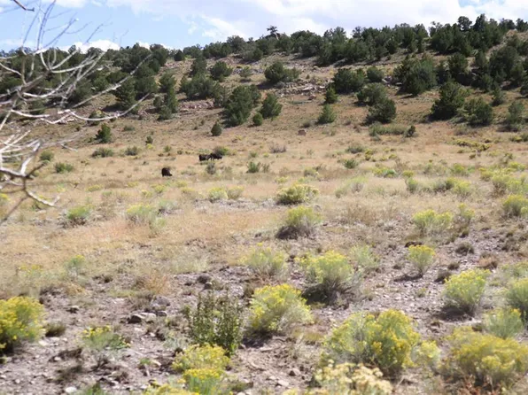 Tract 36 Wapiti Ridge Road, Del Norte, CO 81132