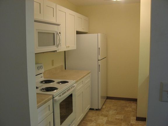 apartment for rent has bark brown cabinets and no microwave.