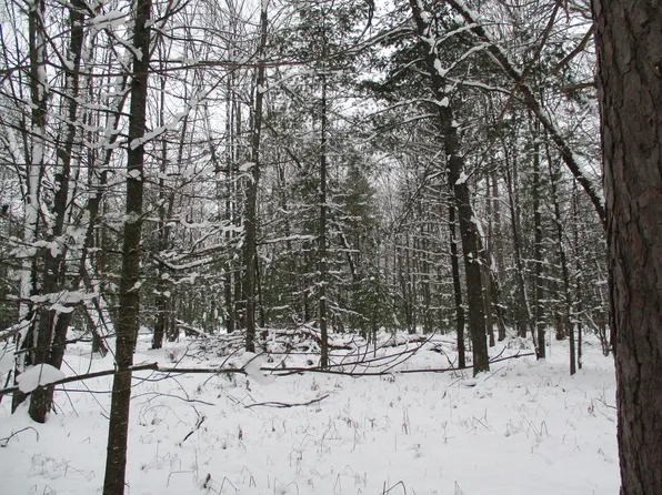 Trem Pal Rd, Grayling, MI 49738